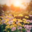 Mother's Garden