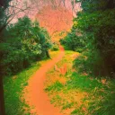 park