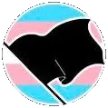 Gender Anarchists