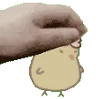 chimkin 2.0