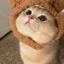 いるーむ