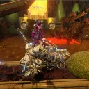 warframe ..ut氏族