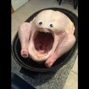 Scorched’s Kitchen