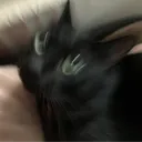 みんなのお家
