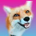 The Fox Hole