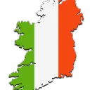 Irish Politics & Mock Parliament