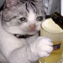 𝕯𝖊𝖌𝖊𝖓𝖊𝖗𝖆𝖙𝖊𝖘