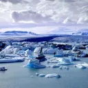 The Arctic