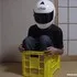 kipkipkipkip