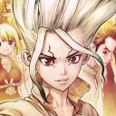 Dr. Stone Group