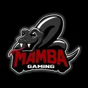 Mamba Family