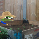 Discovery icon for Twitch Emotes Discord server