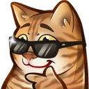 VoltixLive Server