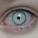 Zenc and 1080p ™