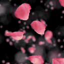 Deadblossom Meadows