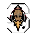 Saddleback Esports