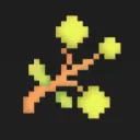 BerryBag
