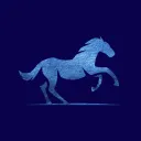 Pony