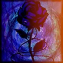 The Rose Garden