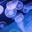 溜まり場