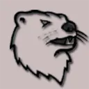 CYBER BADGERS