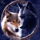 Wolf Pack