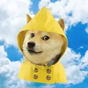 Sergi4UA Dev