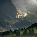 Aenia