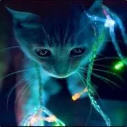 Community💎 — мониторинг Discord сервера, статистика и рейтинг