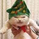 Based Chat 😼
