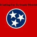 Vote David Cutting