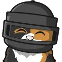 noobz