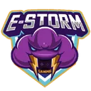 ESTORM Academy