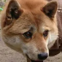 むらくぼのゲーム部屋