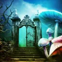 Wonderland