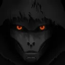 The Watchers