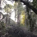 UCSC c/o 2023