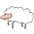 Nakkida's Flock