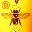 bitcoincore.dev