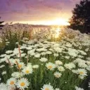 Spring has sprung