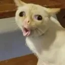 Breakfast Time