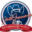 🐱Gato Guerrero World🐾🇧🇷