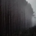The Unknown