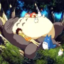 The Totoro Cave