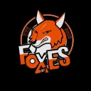 🔻VTC FOXES 🔻