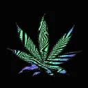 SUPERSKUNK🕉