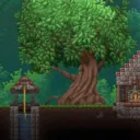 🌳Terrarians🌳