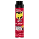 Raid