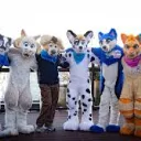 Furry Weebs