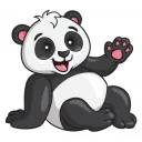 Social Pandas